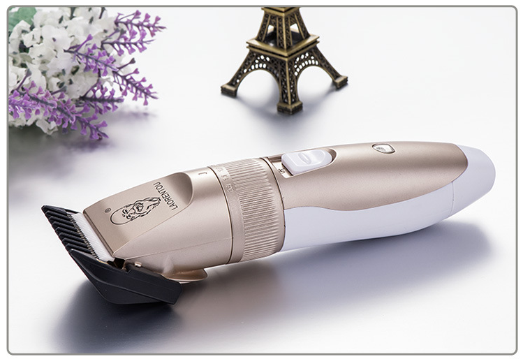 Tondeuse à cheveux domestique A49USB