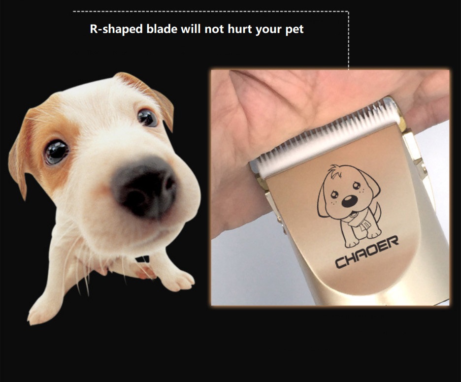 Tondeuse pour animaux de compagnie sans fil USB A60