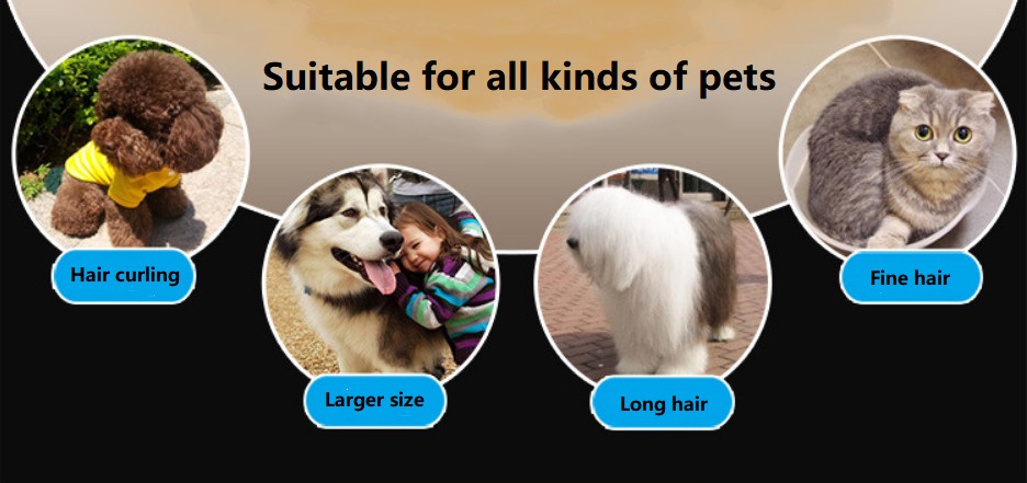 Tondeuse pour animaux sans fil A88