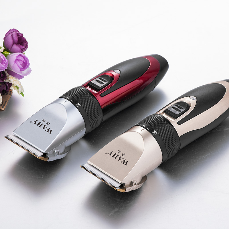 Tondeuse à cheveux domestique USB B60