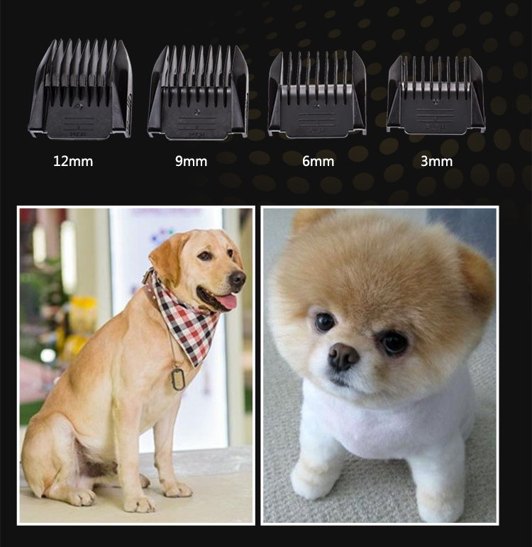 Tondeuse pour animaux de compagnie sans fil USB C28