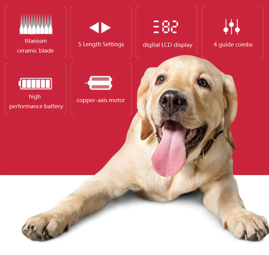 Tondeuse pour animaux de compagnie USB C67