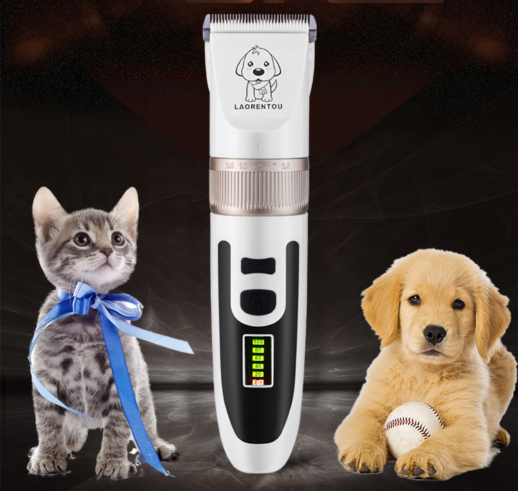 Tondeuse pour animaux sans fil P56