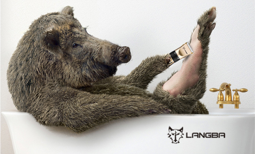Tondeuse pour animaux sans fil USB P65