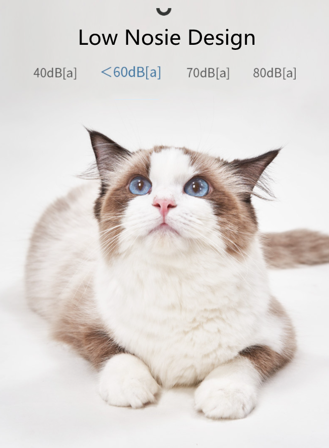 Tondeuse pour animaux sans fil P45