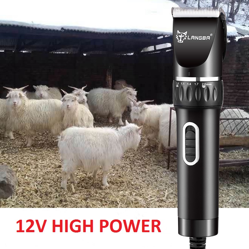 Tondeuse filaire pour animaux de compagnie T45