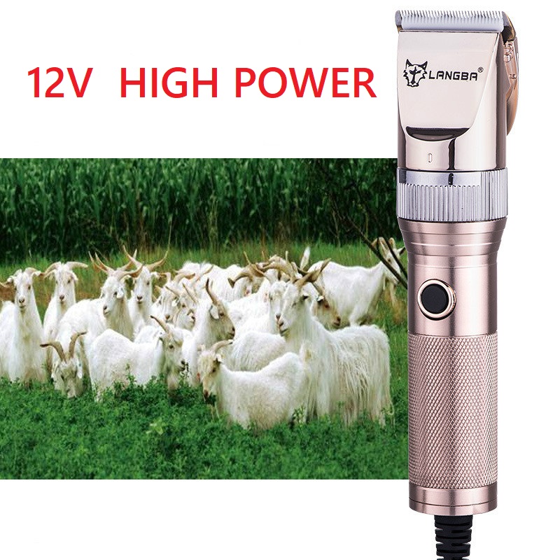 Tondeuse filaire pour animaux de compagnie T82