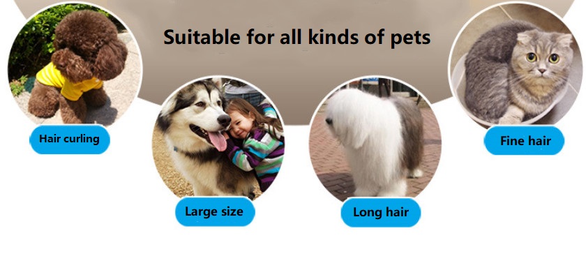 Tondeuse pour animaux sans fil LANGBA AB60
