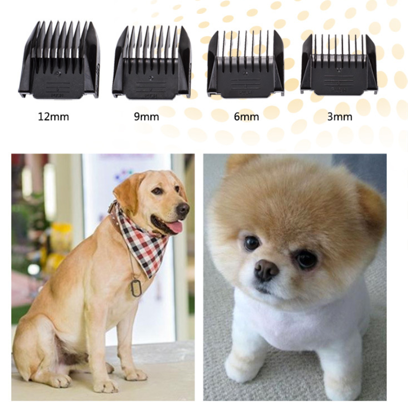 Tondeuse pour animaux sans fil LANGBA AB60