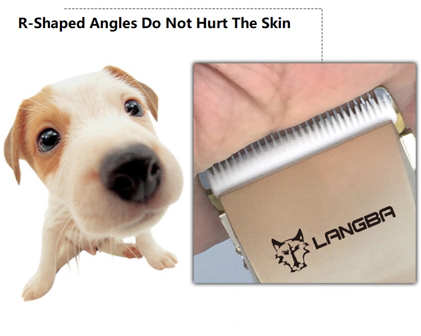 Tondeuse pour animaux sans fil LANGBA AB60